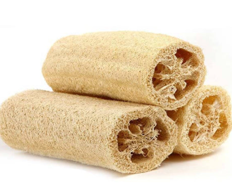 Exfoliating Body Sponge Scrubber for Skin Care -Pack of 1