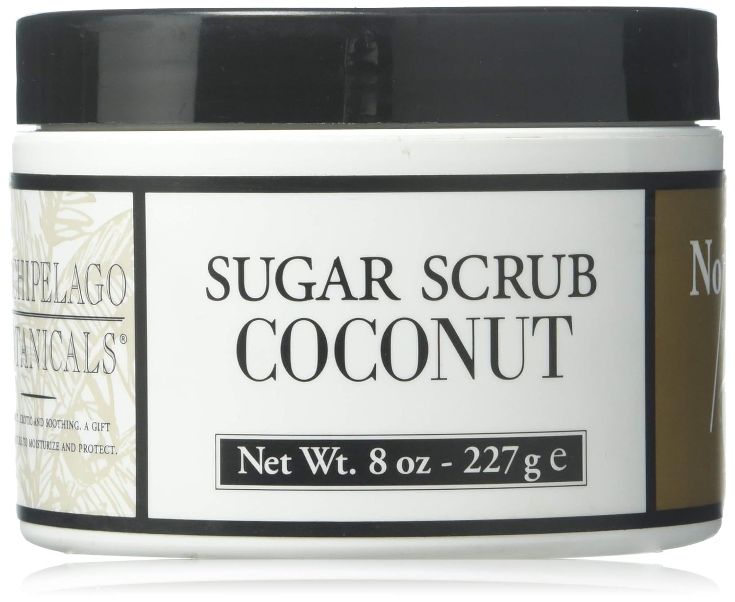 Archipelago Botanicals Sugar Body Scrub Coconut 8oz