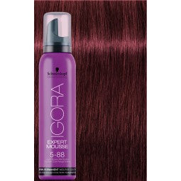 IGORA Expert Mousse 5-88