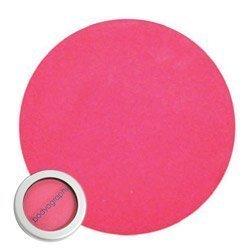 Bodyography Pure Pigment Expressions Eye Shadow, Primrose, 0.14 Ounce