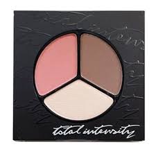 Total Intensity Totally Matte Eyeshadow Trio