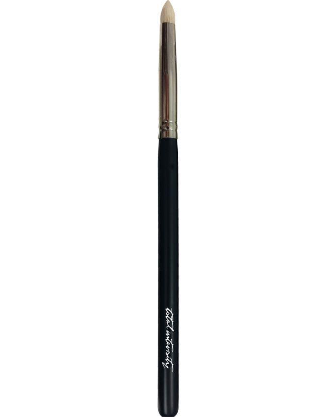 Pointed Liner Brush